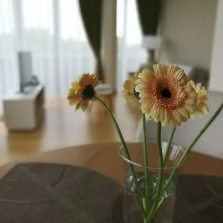Luxury Druskininkai