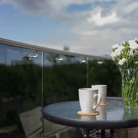 Luxury Apartment Druskininkai